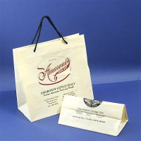 LDPE Shopping Bag